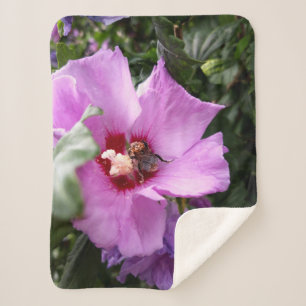 Hummeln auf Hibiskus Blume Sherpadecke