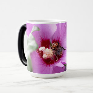 Hummeln auf Hibiskus Blume Verwandlungstasse