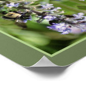 Hummeln auf Lila Blume Nah Abstrakt Poster (Ecke)
