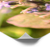 Hummeln auf Lila Blume Nah Poster (Ecke)