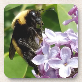 Hummeln auf Lilac nah von Djoneill Untersetzer