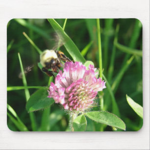 Hummeln auf Red Clover Mousepad