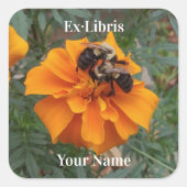 Hummeln auf Ringelblumen-Exlibris Quadratischer Aufkleber (Vorderseite)