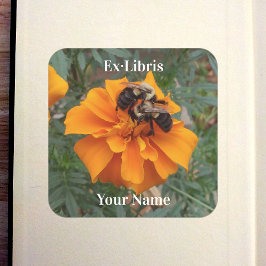 Hummeln auf Ringelblumen-Exlibris Quadratischer Aufkleber