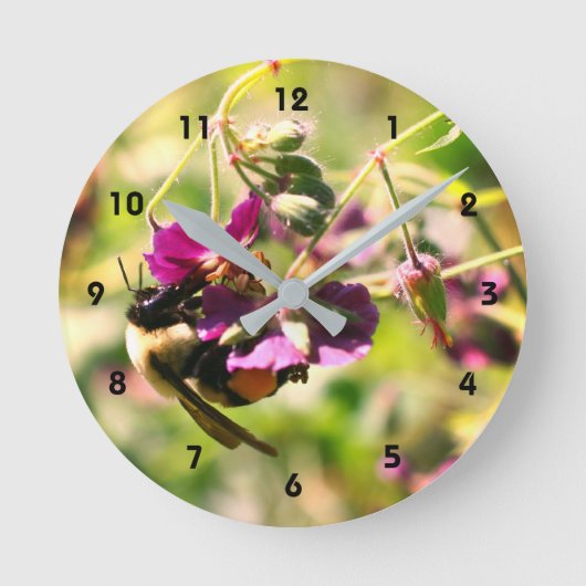Hummeln auf rosa Blume Nah Runde Wanduhr (Vorderseite)