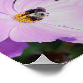 Hummeln auf rosa Kosmos Blume Abstrakt Poster (Ecke)