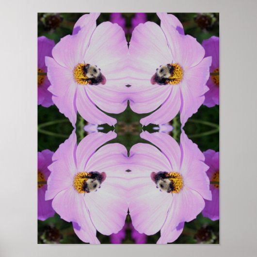 Hummeln auf rosa Kosmos Blume Abstrakt Poster (Vorne)