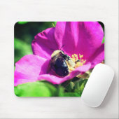 Hummeln auf Rose Blume Mousepad (Mit Mouse)