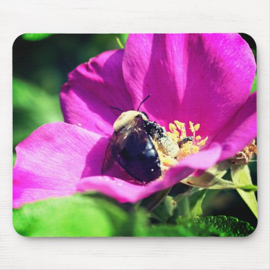 Hummeln auf Rose Blume Mousepad (Vorne)