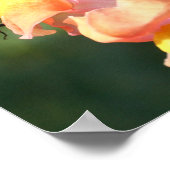 Hummeln auf Snapdragon Blume Natur Poster (Ecke)