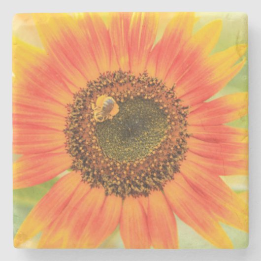 Hummeln auf Sonnenblume, Gemeindegarten Steinuntersetzer (Vorderseite)