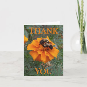 Hummeln auf Tagetes-Blüte Dankeskarte