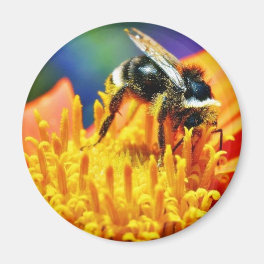 Hummeln Blumen Makro Magnet (Vorne)