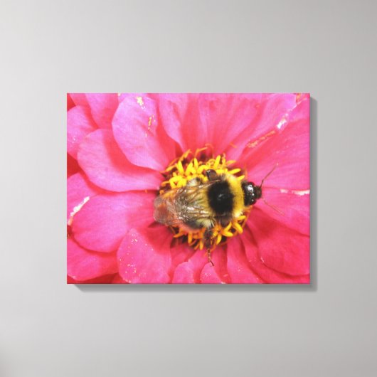 Hummeln Canvas Print Leinwanddruck (Vorderseite)