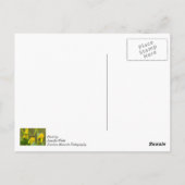 Hummeln denken Sie an Ihre Postkarte (Rückseite)
