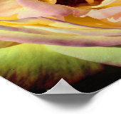 Hummeln fliegt in rosa Rose Nah hoch Poster (Ecke)