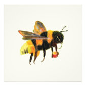 Hummeln mit Pollen Fotodruck (Vorne)