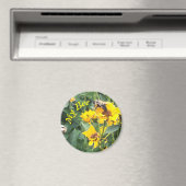 Hummeln Pollinieren einer gelben Blume Magnet (In Situ (Geschirrspüler))