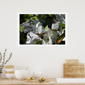 Hummeln Poster (Küche)