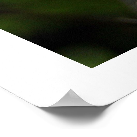 Hummeln Poster (Ecke)