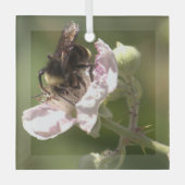 Hummeln sammelt Pollen Glass Ornament (Vorderseite)