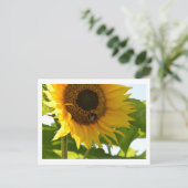 Hummeln & Sonnenblume Postkarte (Stehend Vorderseite)