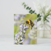Hummeln über einem Lavendel Postkarte (Stehend Vorderseite)