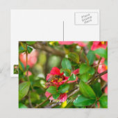 Hummeln und Azalea Danke, Postkarte (Vorne/Hinten)