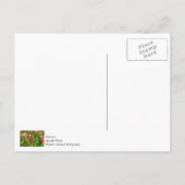 Hummeln und Azalea Danke, Postkarte (Rückseite)