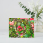 Hummeln und Azalea Danke, Postkarte (Stehend Vorderseite)