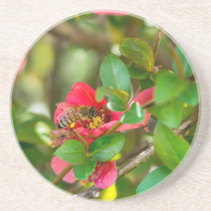 Hummeln und Azalea Getränkeuntersetzer