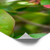 Hummeln und Azalea Poster (Ecke)