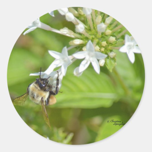 Hummeln und Blume Runder Aufkleber (Vorderseite)