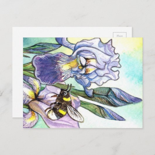 Hummeln und Ire Postkarte (Vorne/Hinten)