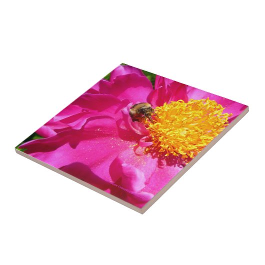 Hummeln und Peony Fliese (Seite)