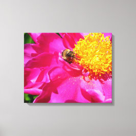 Hummeln und Peony Leinwanddruck