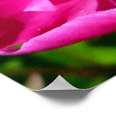Hummeln und Peony Poster (Ecke)