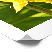 Hummeln und Sonnenblumen Poster (Ecke)