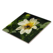 Hummeln und weißes Dahlia-Foto Fliese (Seite)