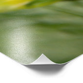 Hummeln und weißes Dahlia-Foto Fotodruck (Ecke)