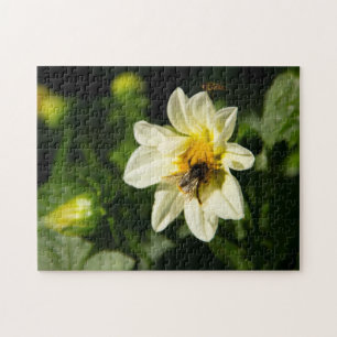 Hummeln und weißes Dahlia-Foto Puzzle