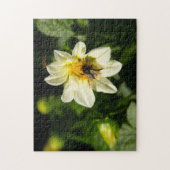 Hummeln und weißes Dahlia-Foto Puzzle (Vertikal)