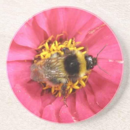 Hummeln-Untersetzer Getränkeuntersetzer (Vorne)