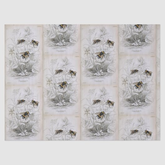 Hummelpapier Seidenpapier (Vorderseite)