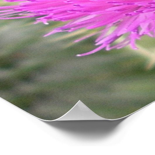 Hummelplakat Poster (Ecke)