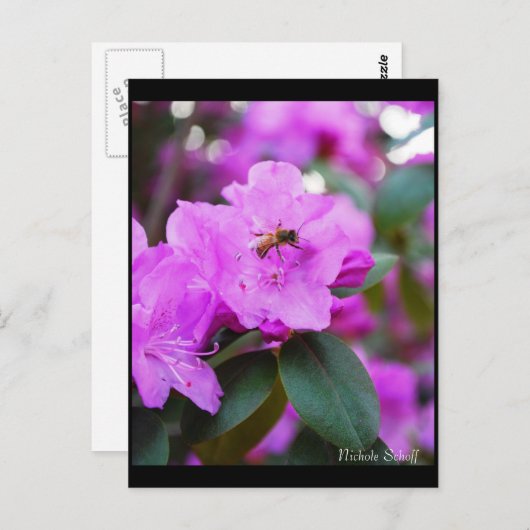 Hummelpostkarte Postkarte (Vorne/Hinten)