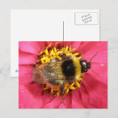 Hummelpostkarte Postkarte (Vorne/Hinten)