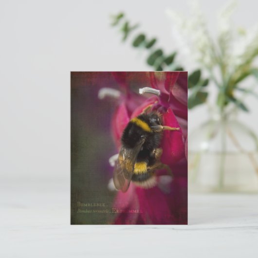 Hummelpostkarte Postkarte (Stehend Vorderseite)