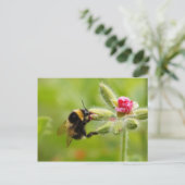 Hummelpostkarte Postkarte (Stehend Vorderseite)