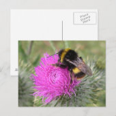 Hummelpostkarte Postkarte (Vorne/Hinten)